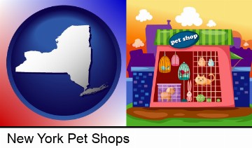 a pet shop in New York, NY